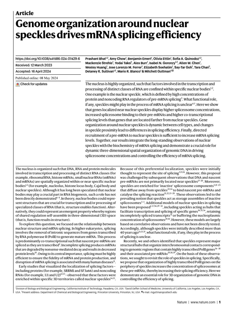 Nuclear Speckles Enhance mRNA Splicing | PDF | Rna Splicing | Messenger Rna