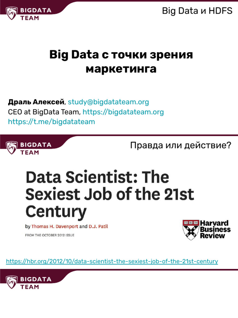 Big Data in Marketing Insights | PDF