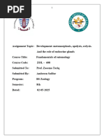 Insect Head Types: Hypognathous, Prognathous, Opisthognathous | PDF