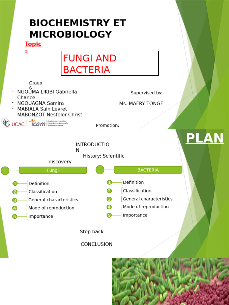Group 6 Microbiology 2-1 | PDF | Bacteria | Cell (Biology)