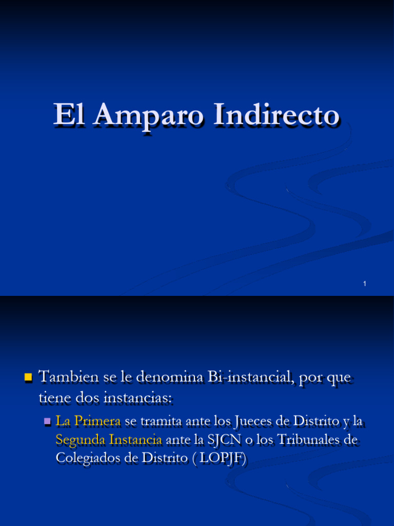 Guía del Amparo Indirecto en México | PDF | Ley común | Ley Pública