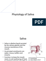 Physiology of Salivary Glands