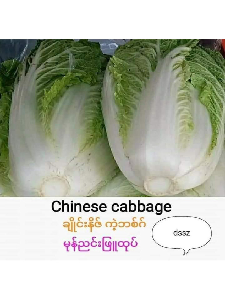 Vegetables | PDF