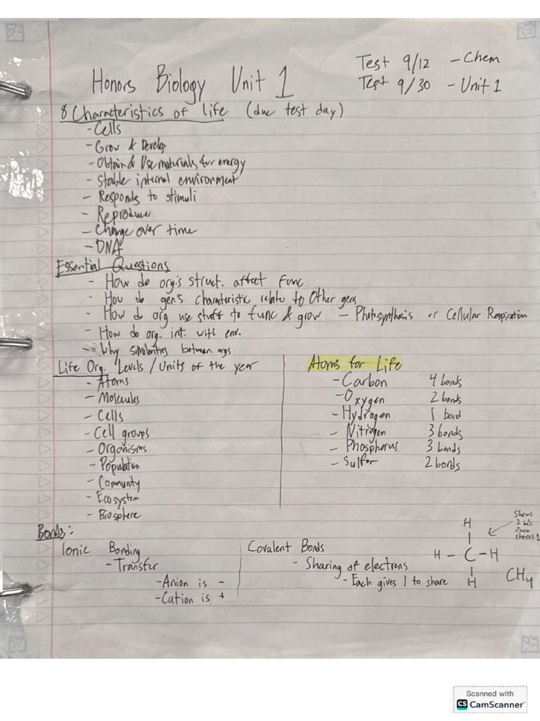 All Pretty Honors Bio Notes | PDF