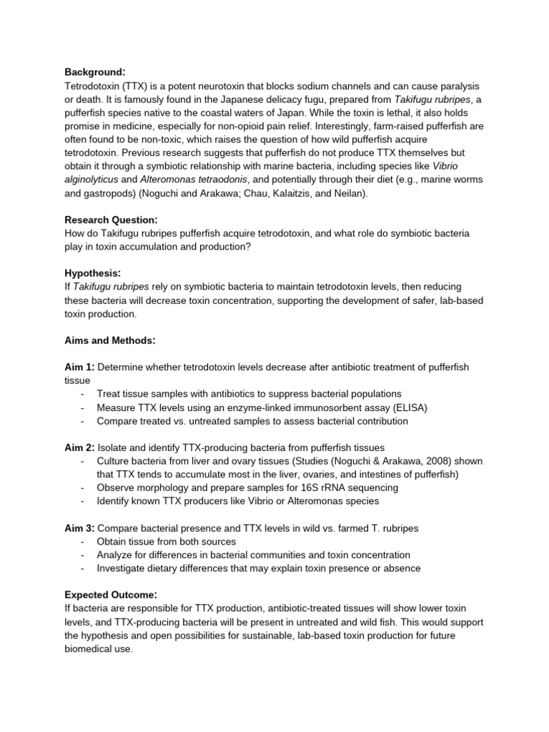 Emily Ong - Final Project Presentation 1-Page Summary | PDF