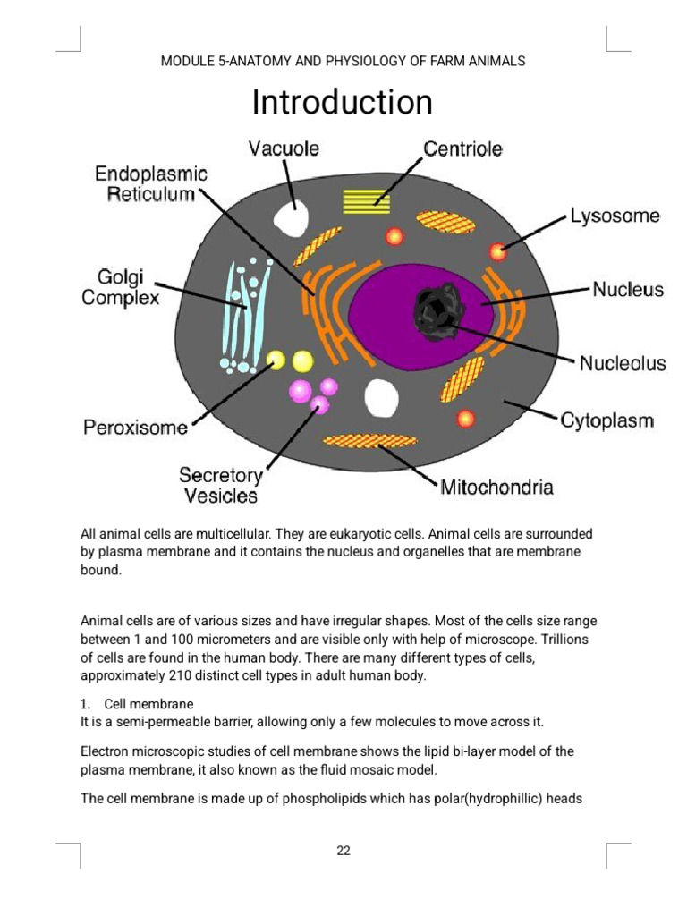 Module 5 Animal Production | PDF | Digestion | Cell (Biology)