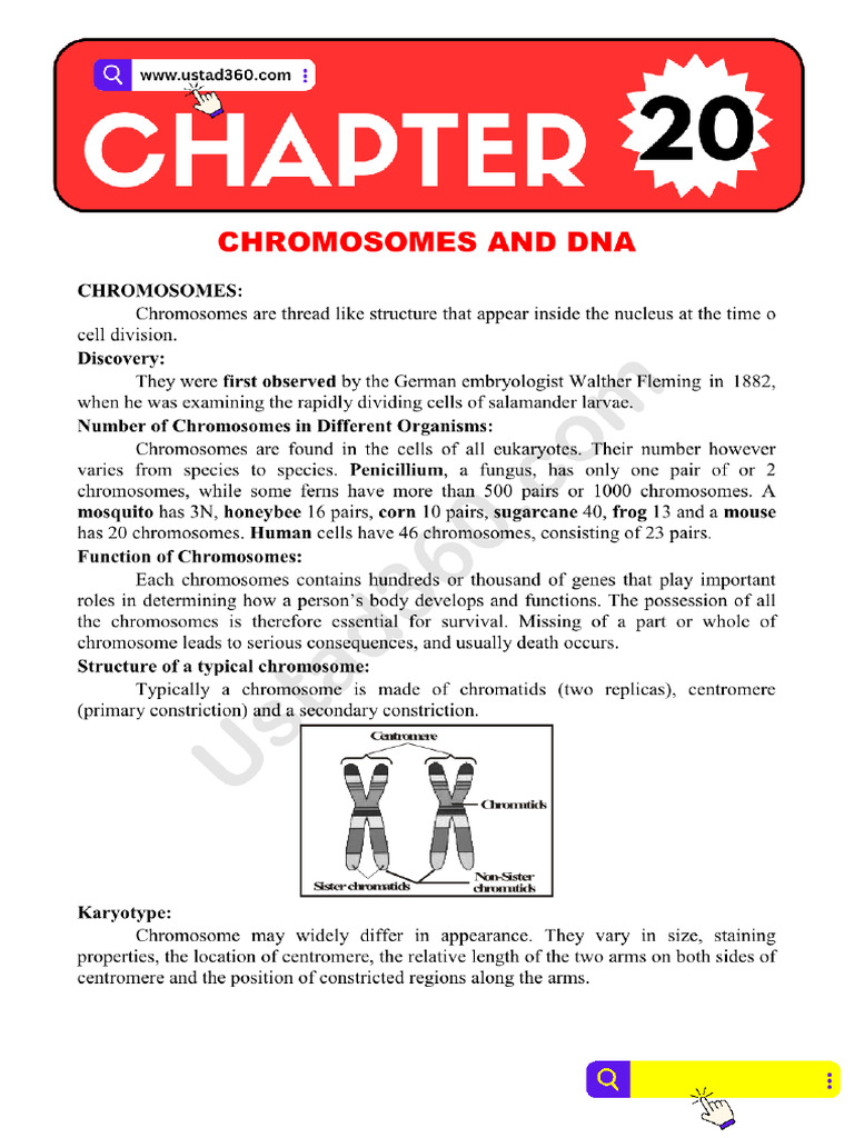 12th Bio Chap 20 Notes (Ustad360.Com) - 1 | PDF