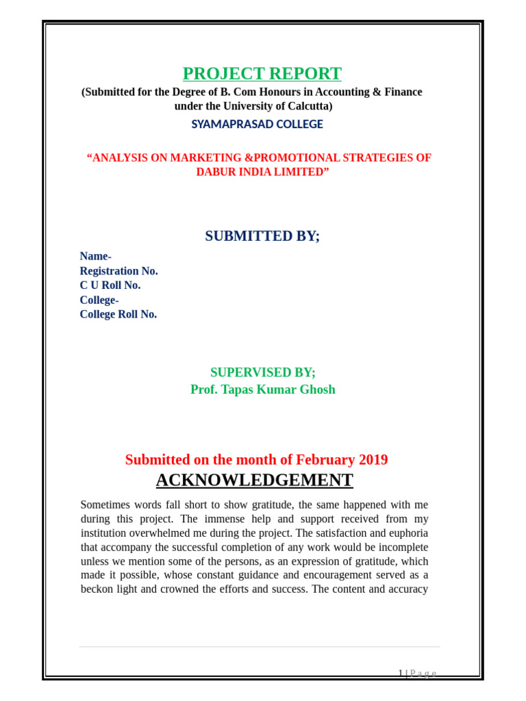 Sample Proj - Marketing & Promotional Strategy | PDF | Marketing ...