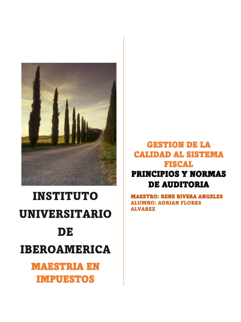 Principios y Normas de Auditoría Fiscal | PDF | Auditoría | Contralor