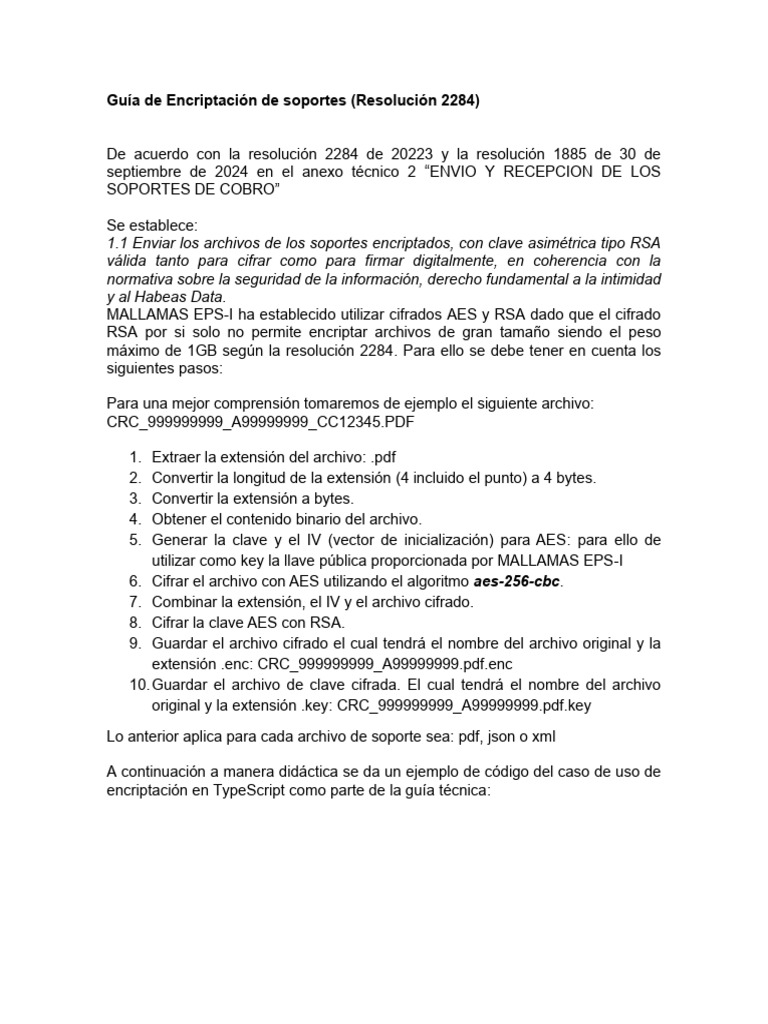 Guiìa de Encriptacioìn de Soportes | PDF | Cifrado | Clave (criptografía)