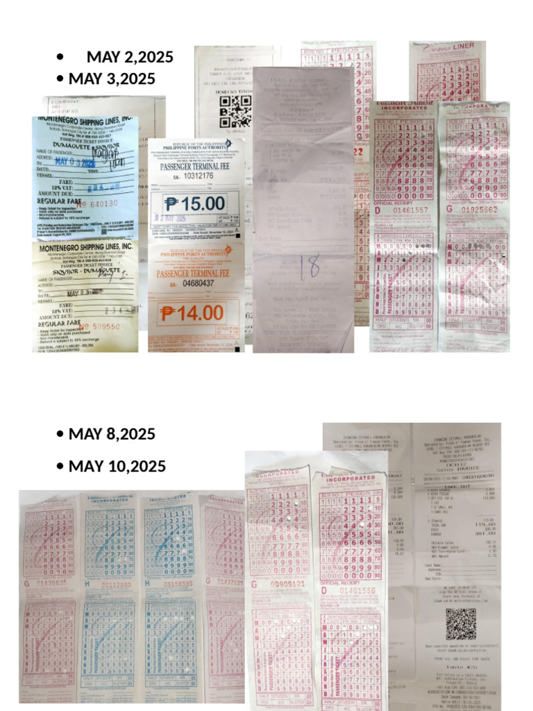 Travel Receipts | PDF