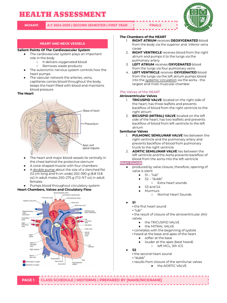 Heart Anatomy and Assessment Guide | PDF | Heart Valve | Heart