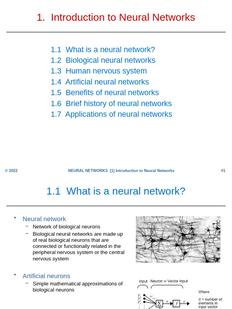 Introduction to Neural Networks Guide | PDF | Action Potential ...