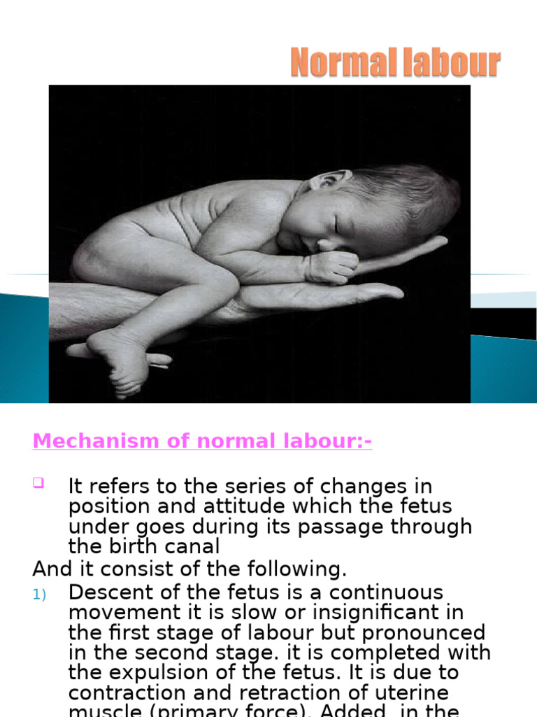 Mechanism of Normal Labour Explained | PDF | Anatomical Terms Of Motion ...