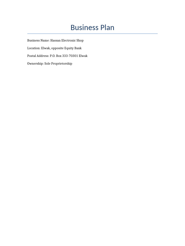 Electronic Shop Business Plan