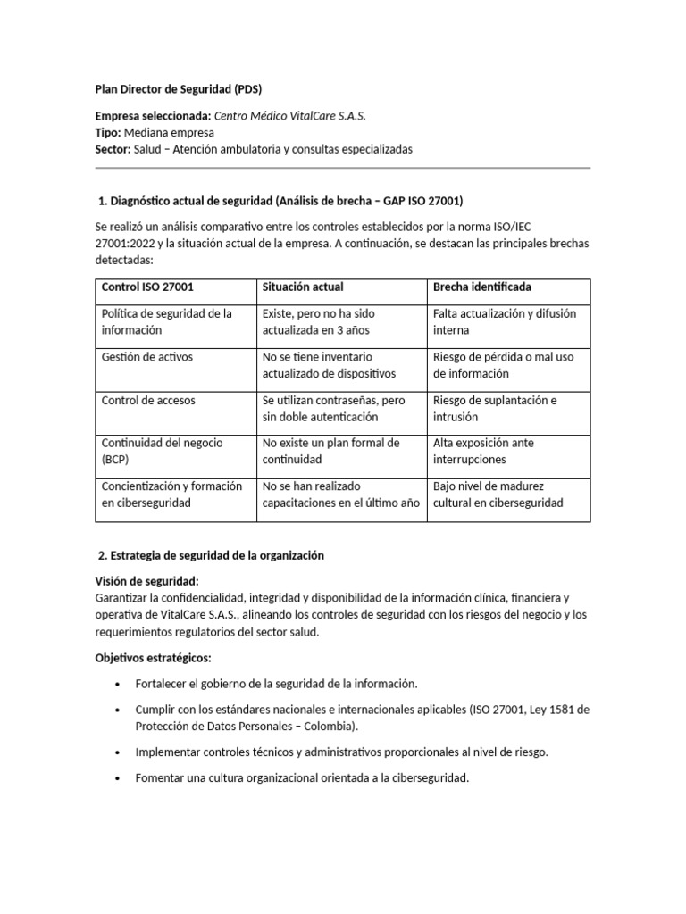 Plan Director de Seguridad VitalCare S.A.S. | PDF | La seguridad ...