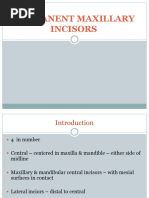 Carving Maxillary Central Incisor Guide | PDF | Tooth | Mouth