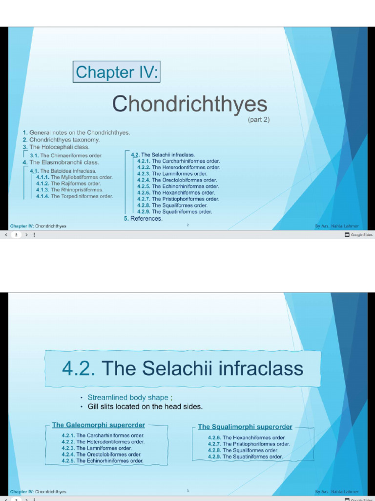 Sys | PDF
