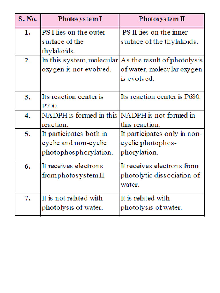 PS I & Ii | PDF