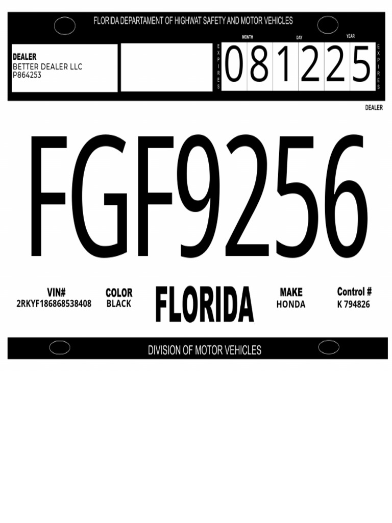 Florida Temporary License Plate Info | PDF