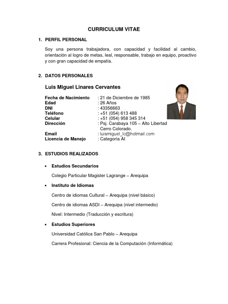 Curriculum vitae luiss image