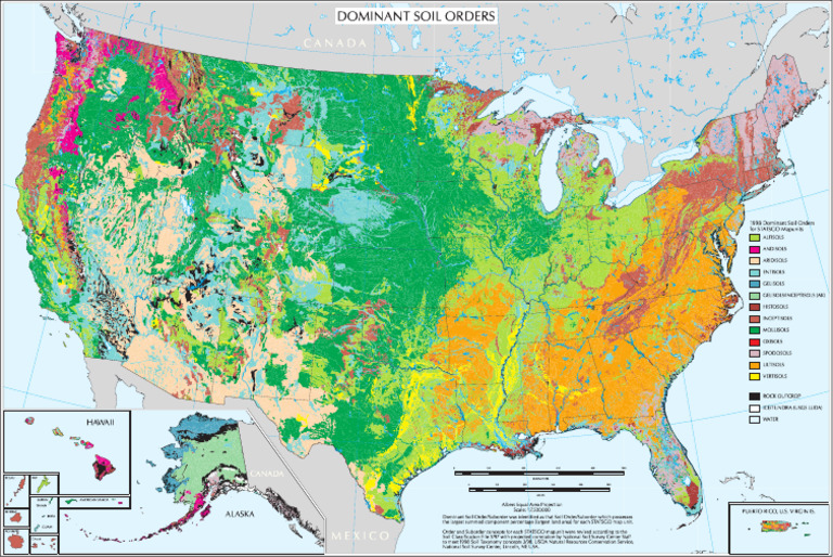 Soil Orders Map of The United States | PDF