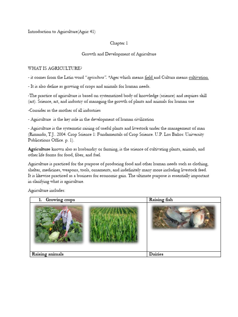 Overview of Philippine Agriculture History | PDF | Plants | Agriculture