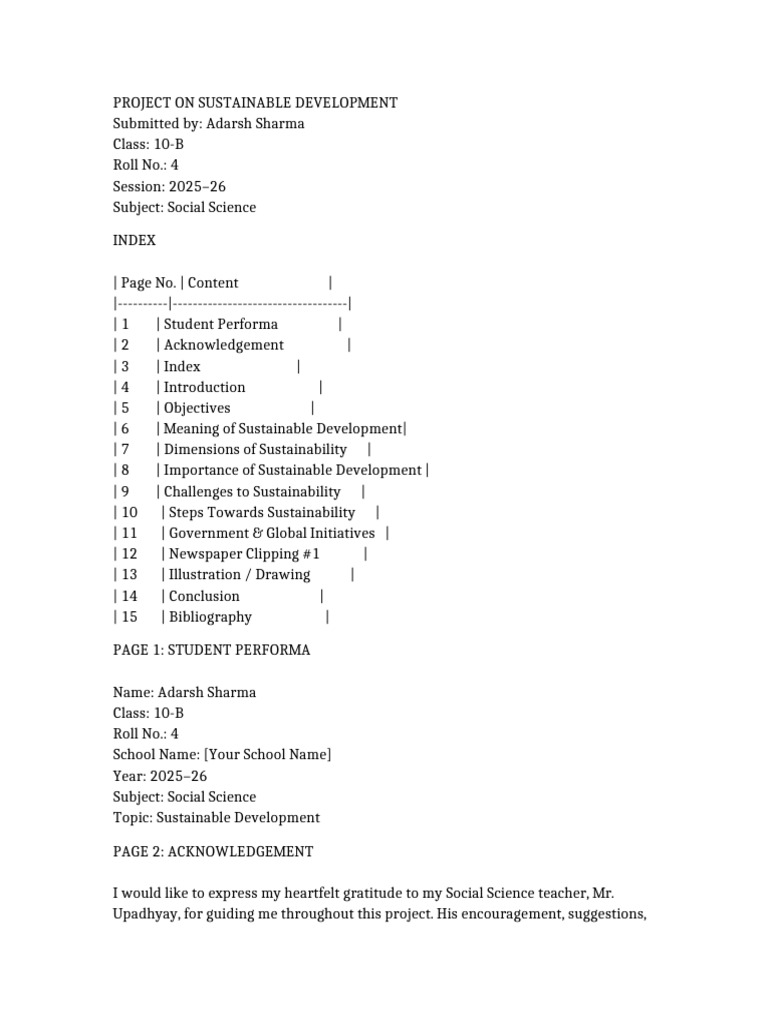 Class 10 Sustainable Development Project | PDF | Sustainability ...