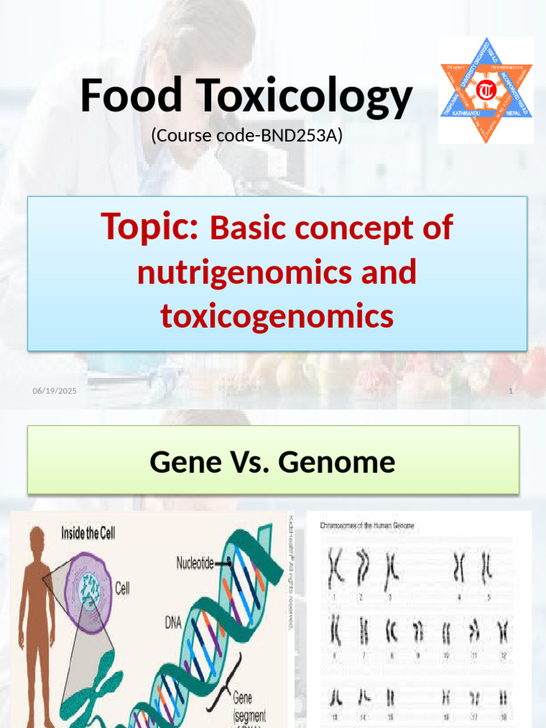 Nutrigenomics and Toxicogenomics Overview | PDF | Metabolomics | Gene