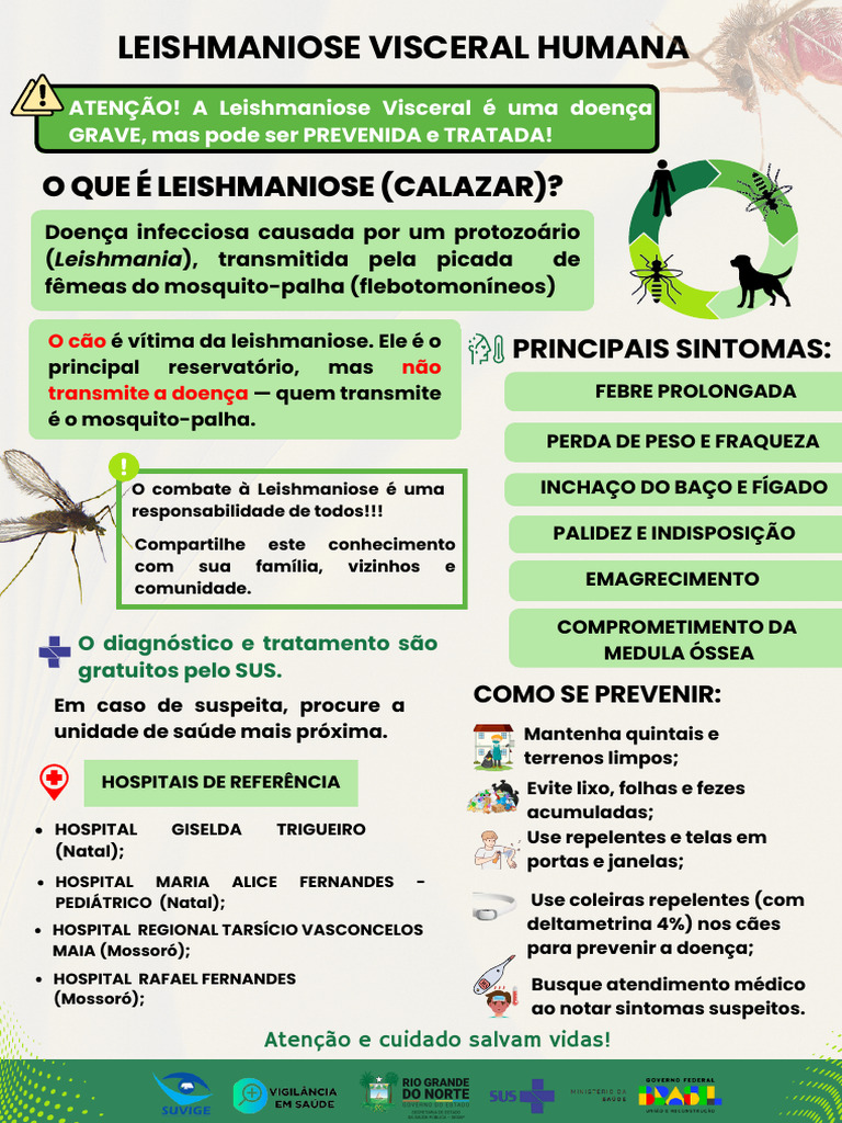 Prevenção e Sintomas da Leishmaniose Visceral | PDF