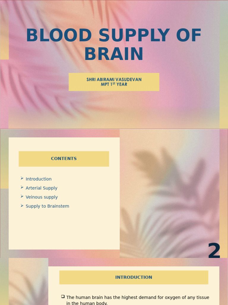 Blood Supply of Brain | PDF | Vein | Brainstem