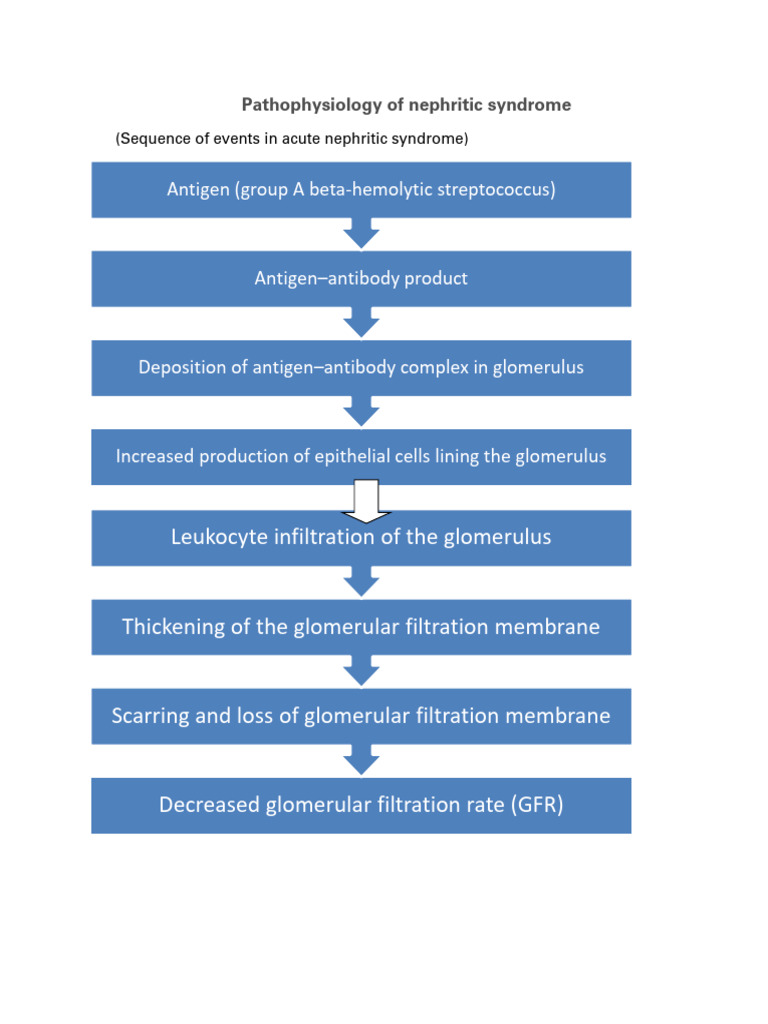 Pathophysiology of Nephrotic Syndrome | PDF