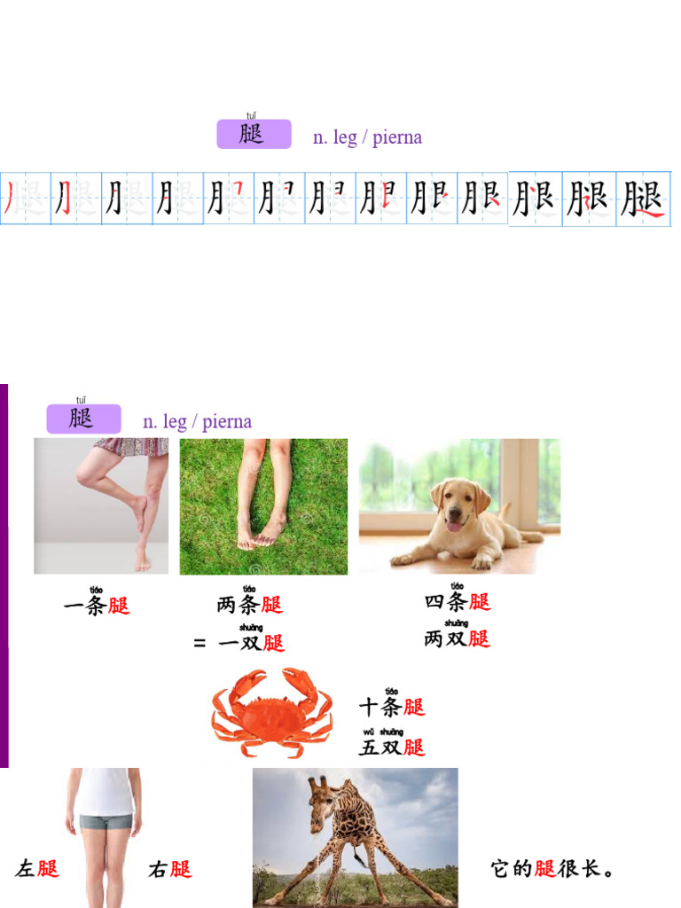 Chinese Base Level HSK3 Lesson 2 Part 1 - Practice | PDF