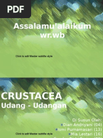 Download Crustacea by Syifa Nurfadilah Rajbiani SN87823632 doc pdf