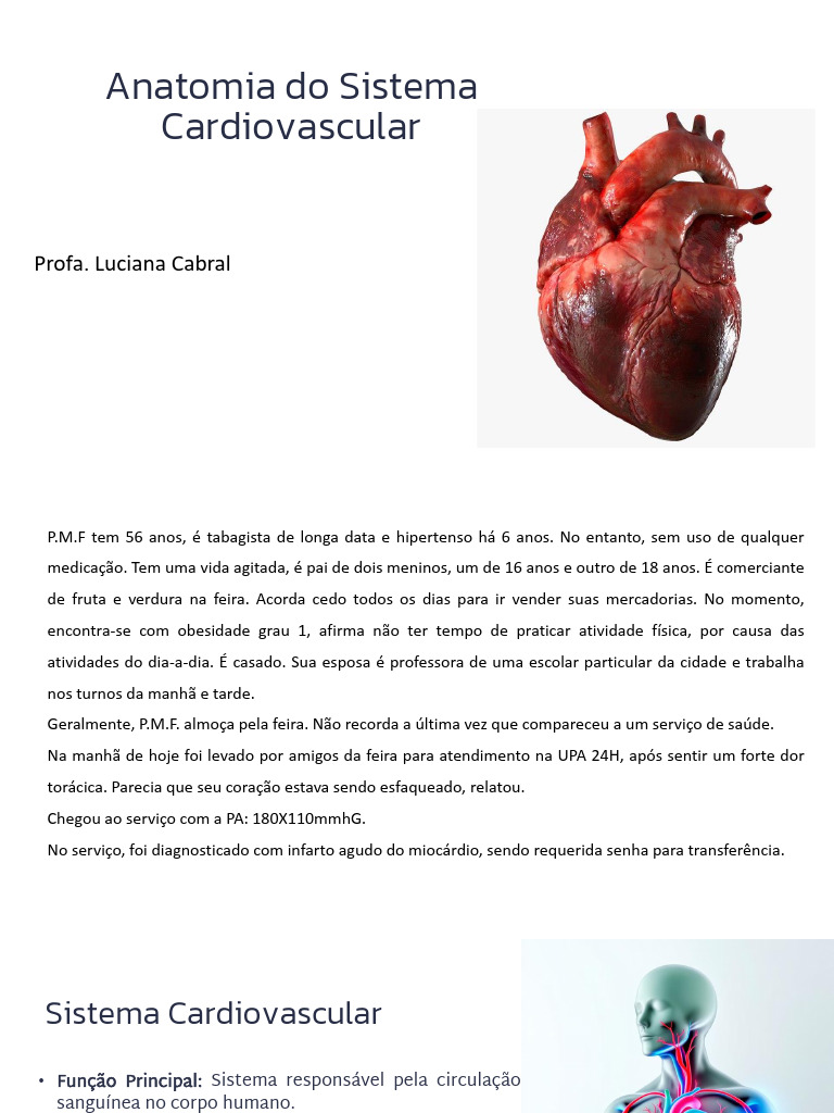 Anatomia do Sistema Cardiovascular | PDF | Átrio (coração) | Coração