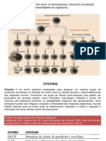 21. Fatores de Crescimento Celular