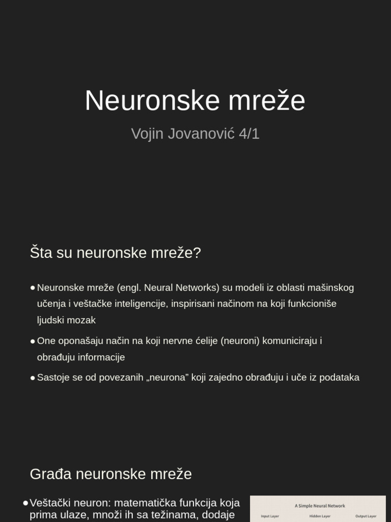 Neuronske Mreže | PDF