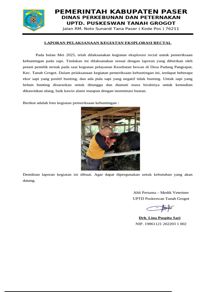 Eksplorasi Rectal untuk Kebuntingan Sapi | PDF
