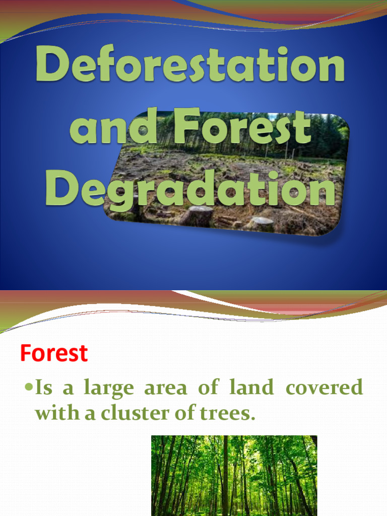 Deforestation vs. Forest Degradation | PDF | Deforestation | Soil