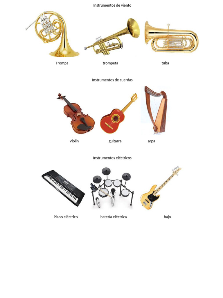 Instrumentos de viento y cuerdas | PDF