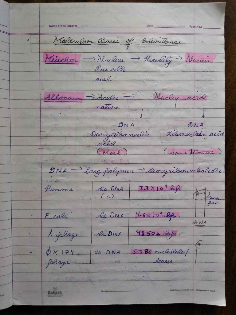 Allen Molecular Basis Biology Toppers Handwritten Notes - Allen Kota | PDF
