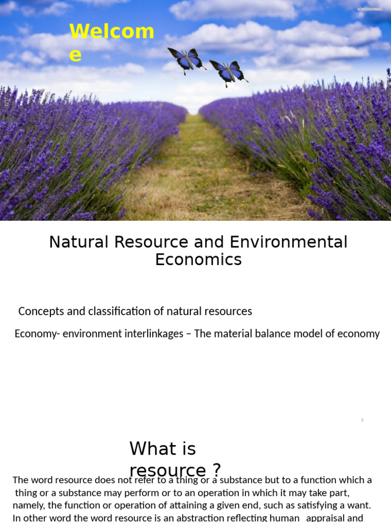 Natural Resource Economics Explained | PDF | Resource | Waste