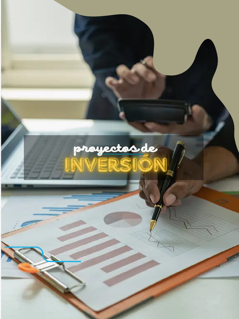 Proyectos de Inversion | PDF | Sociedad de responsabilidad limitada ...