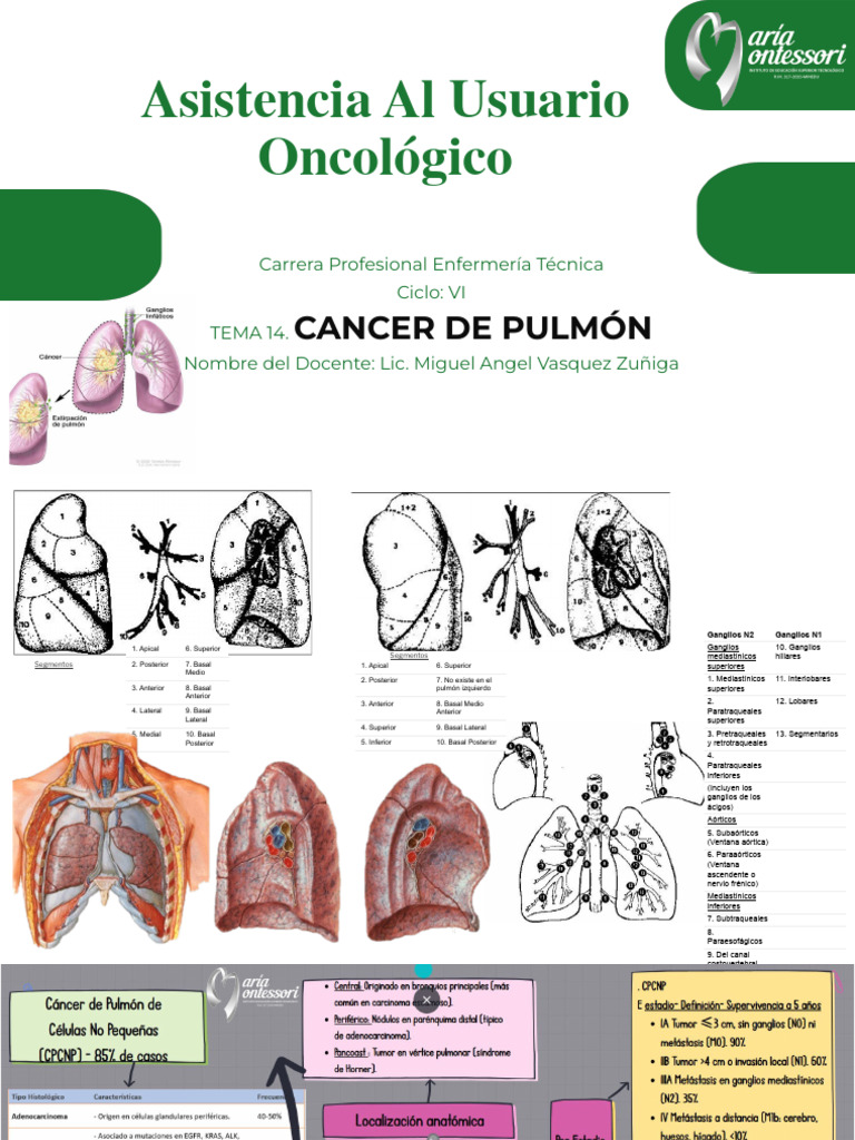 Tema 14. Cancer de Pulmon | PDF | Cáncer de pulmón | Cáncer