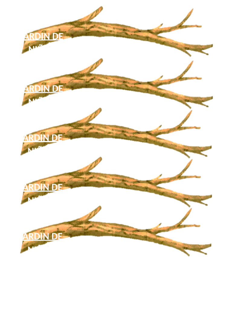 Ramas | PDF