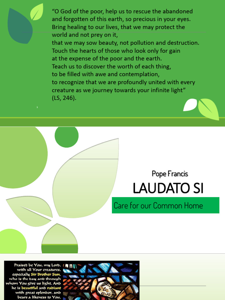 Understanding Laudato Si' Meaning | PDF | Sustainability | Prayer