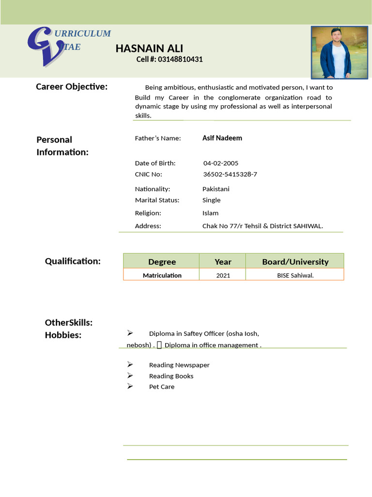 CV Format for Nigerian Job Seekers | PDF