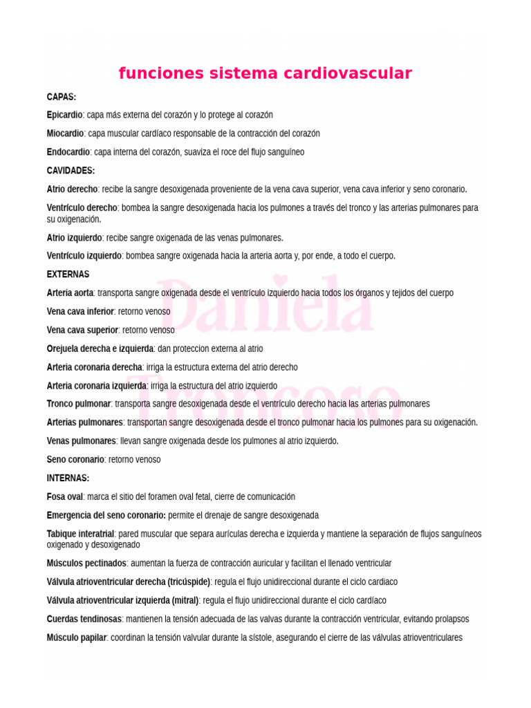 Funciones Sistema Cardiovascular | PDF | Corazón | Riñón