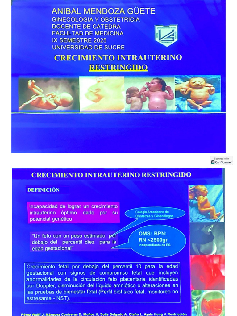 RCIU | PDF