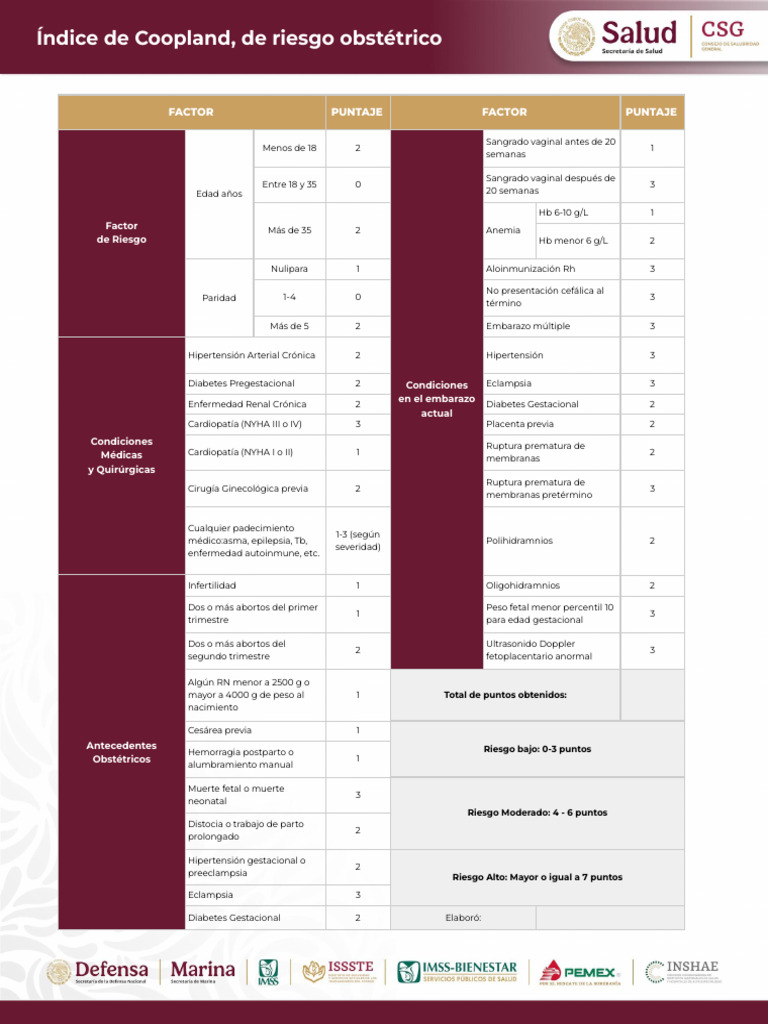 ndice-de-riesgo-obst-trico-y-puntuaci-n-pdf-el-embarazo